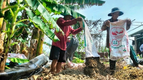 Tổ khuyến nông cộng đồng hoạt động sôi nổi, hiệu quả