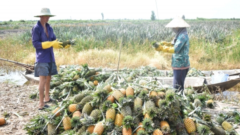 Đầu tư thủy lợi đa mục tiêu mang sức sống về 'vùng đất chết'