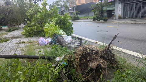 Hậu bão Trà Mi: Cây xanh bật gốc, nằm ngổn ngang trên đường phố Huế