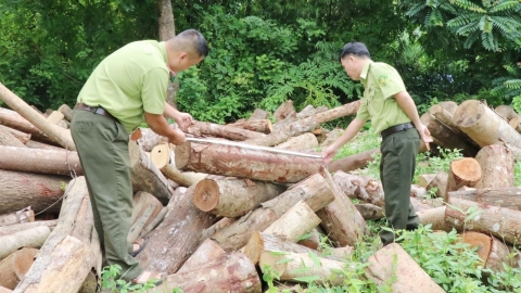 Dấu ấn kiểm lâm trong công cuộc bảo vệ rừng Việt Bắc