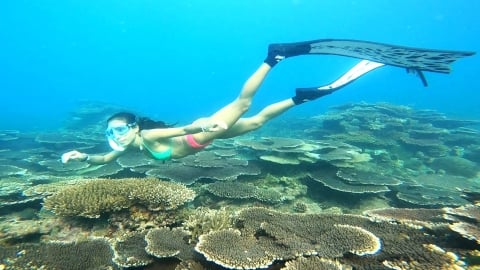 Côn Đảo tạm dừng các hoạt động bơi lội, lặn ngắm san hô
