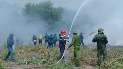 Quảng Bình diễn tập nâng cao năng lực chữa cháy rừng