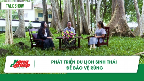 Phát triển du lịch sinh thái để bảo vệ rừng