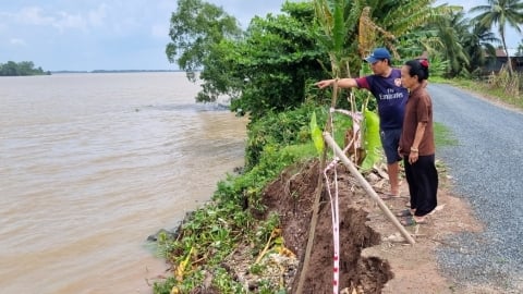 Công bố tình huống sạt lở khẩn cấp, đe dọa 250ha vườn cây