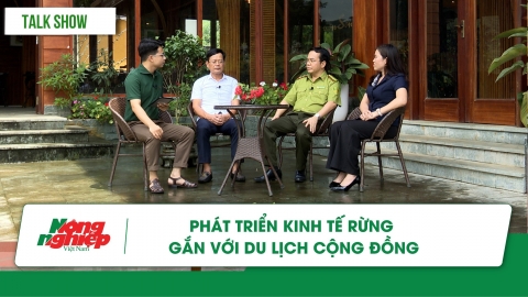 Phát triển kinh tế rừng gắn với du lịch cộng đồng