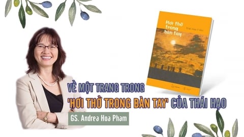 GS. Andrea Hoa Pham: Về một trang trong 'Hơi thở trong bàn tay' của Thái Hạo