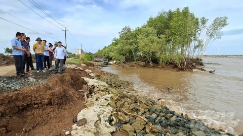 Cảnh báo nguy cơ cao vỡ đê biển Đông