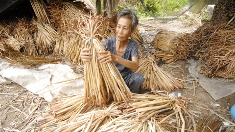 Hơn 102 tỷ đồng thực hiện chương trình mục tiêu quốc gia giảm nghèo