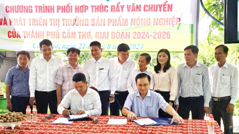 Phối hợp thúc đẩy vận chuyển và phát triển thị trường nông sản