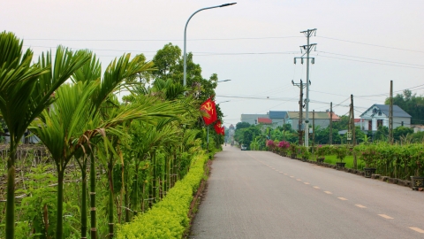 Diện mạo mới Bắc Giang: [Bài 2] Đường làng đẹp như trên phố