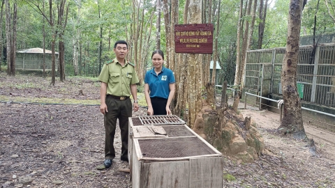 Tiếp nhận cá thể trăn và khỉ đuôi lợn để bảo tồn