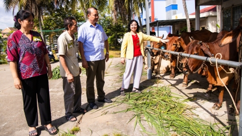 Trao gần 100 con bò, tạo sinh kế cho người dân