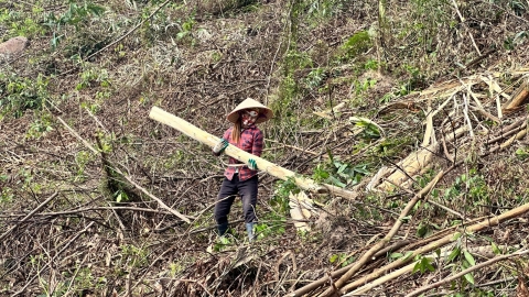 Quảng Ninh phát động 'chiến dịch 30 ngày đêm' thu dọn, vệ sinh rừng