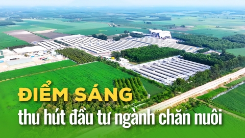 Điểm sáng thu hút đầu tư ngành chăn nuôi