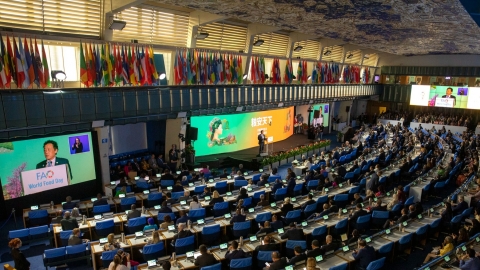 Global ceremony highlights the right to nutritious safe and affordable foods