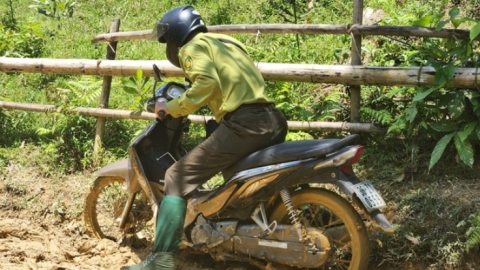 Tuyển cán bộ kiểm lâm khó như ‘mò kim đáy bể’