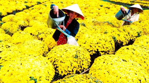 Đồng Tháp tiên phong thực hiện tái cơ cấu nông nghiệp