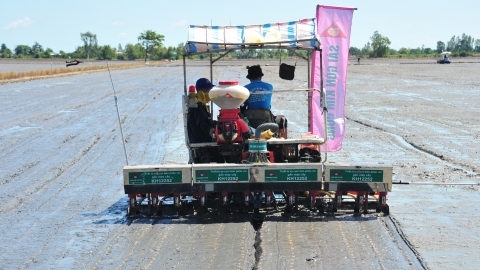 Máy sạ cụm với mục tiêu Đề án 1 triệu hecta lúa chất lượng cao