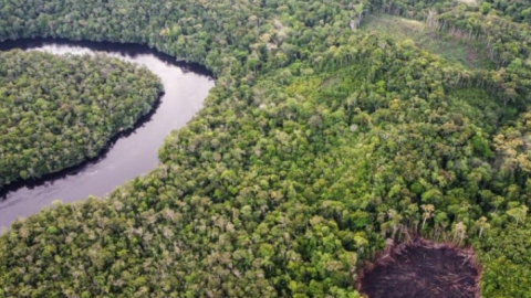 COP29 thông qua cơ chế thị trường tín chỉ carbon toàn cầu