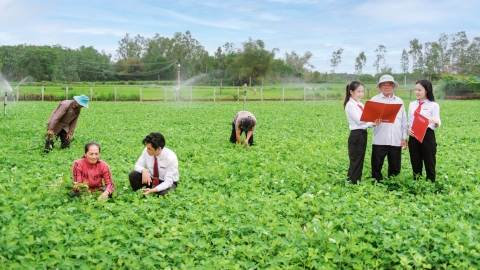 Agribank Bình Định sát cánh cùng tam nông