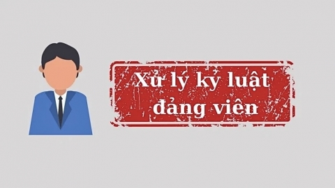 Bộ Chính trị, Ban Bí thư xem xét, thi hành kỷ luật đảng viên