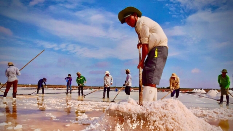 Dự án hạ tầng nghề muối đẩy nhanh tiến độ thi công