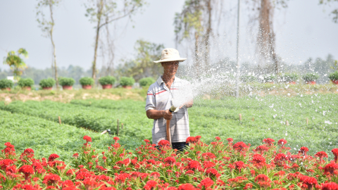 Bến Tre khẩn trương ứng phó xâm nhập mặn