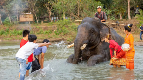 Hấp dẫn tour du lịch trải nghiệm tại Lễ hội Cà phê Buôn Ma Thuột