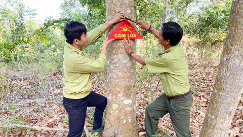 Vùng Bảy Núi quyết liệt phòng chống cháy rừng