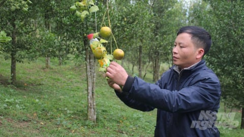 Những lá đơn thoát nghèo ở huyện nghèo nhất cả nước