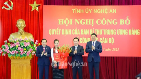 Bà Võ Thị Minh Sinh giữ chức Phó Bí thư Tỉnh ủy Nghệ An