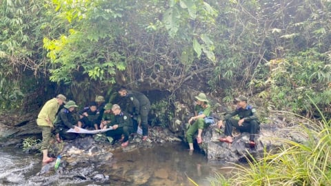 Diện tích rừng tự nhiên ở TP. Huế giảm