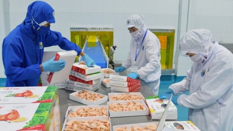 Balancing agricultural trade between Vietnam and the US: Seafood adapts for breakthrough