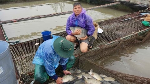 Hợp tác xã 'trong cái khó, ló cái hay'