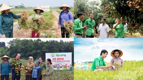 Công ty Tiến Nông và câu chuyện 365 ngày cùng nông dân xuống đồng