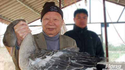 Chuyện Phó Thủ tướng và những quả trứng