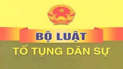 Ủy quyền trong tố tụng dân sự