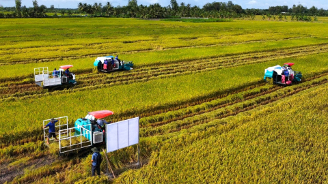 There remains large fiscal space for technology investment in the 1 million ha rice Scheme