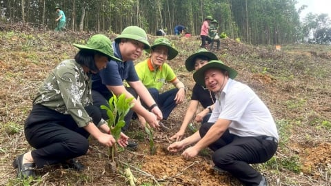 Nông dân Hòa Bình bảo vệ rừng, bảo vệ môi trường