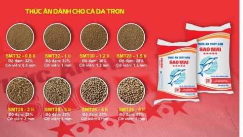 Dấu ấn đột phá của Sao Mai Super Feed