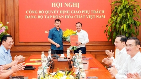 Ông Phùng Quang Hiệp được phân công phụ trách Đảng bộ Vinachem