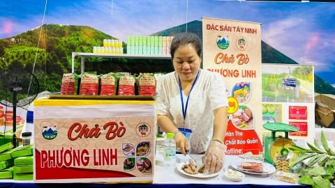 Tây Ninh phát triển đàn bò thịt chất lượng cao: [Bài 2] Phát huy thương hiệu bò tơ