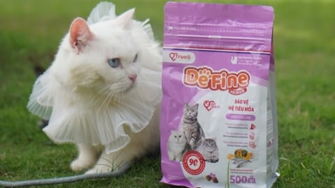 Truoo Pet Care ra mắt DeFine Cat - Đỉnh cao dinh dưỡng và tình yêu thương