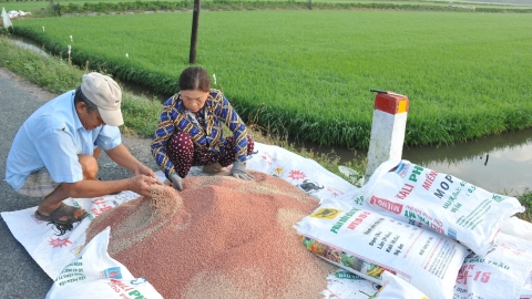 Áp thuế giá trị gia tăng phân bón vẫn nhận nhiều ý kiến