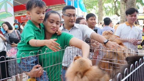 Lấy học sinh làm mục tiêu tuyên truyền phòng, chống bệnh dại