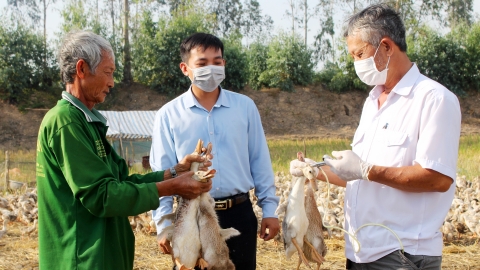 Đặt mục tiêu tiêm phòng cho đàn vật nuôi đạt trên 90%