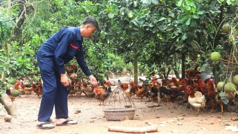 Chăn nuôi an toàn sinh học, bảo vệ sức khỏe đàn vật nuôi