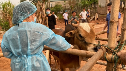 Ngành chăn nuôi và thú y được ưu tiên trong quá trình chuyển đổi số