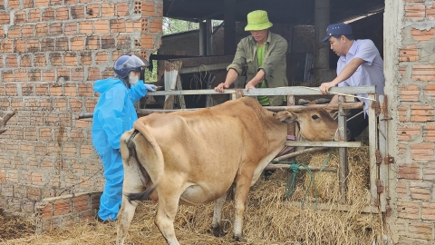 Chăn nuôi tuần hoàn phát triển ở Quảng Bình