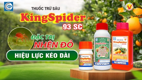 Thuốc trừ sâu, trừ nhện Kingspider 93 SC